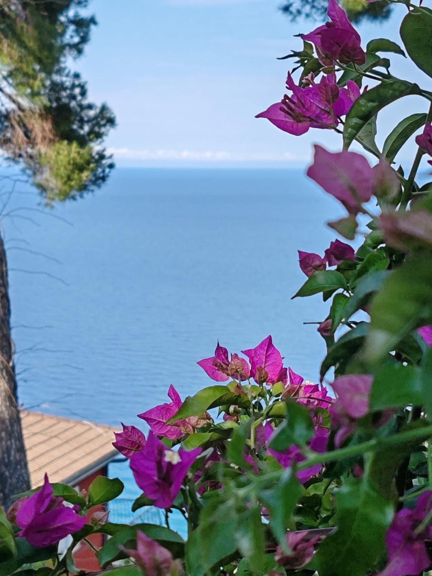 Appartamento Vista Mare Albenga Eksteriør bilde